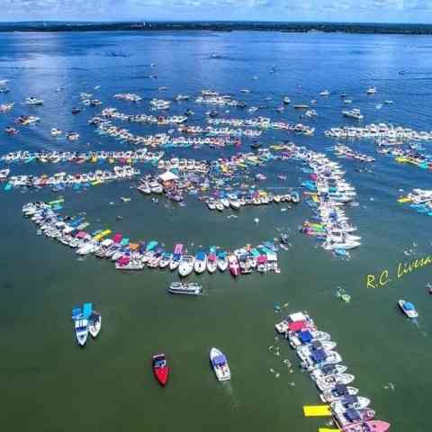 a flock of birds flying over a body of water